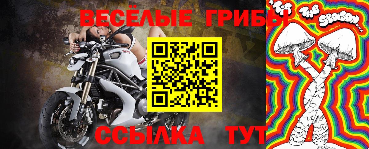 Псилоцибиновые грибы Cubensis Дубна