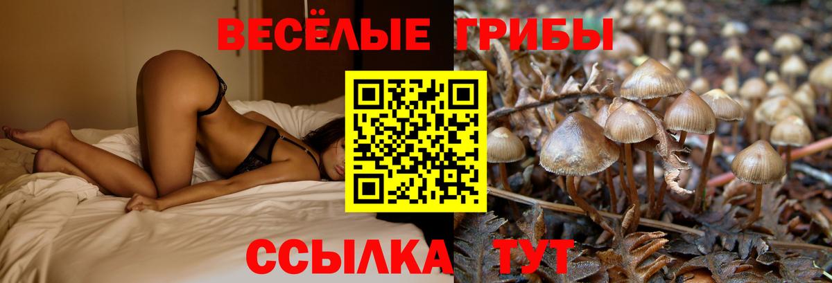Псилоцибиновые грибы мухоморы  Вход с VPN  что такое   Дубна 